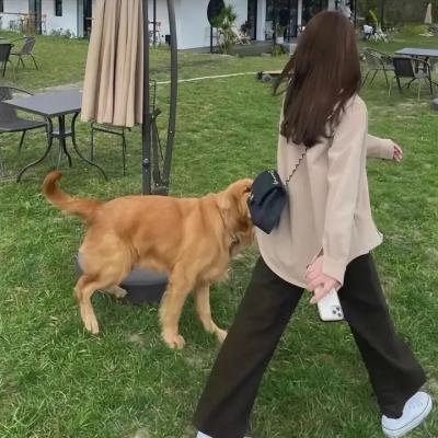 活死人归来5