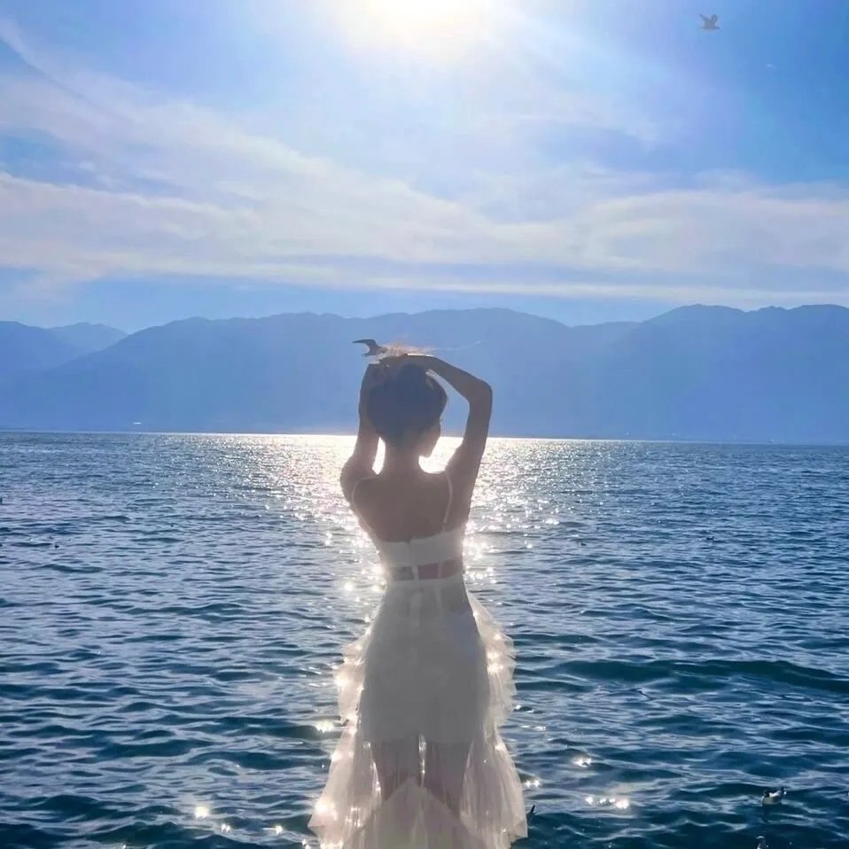 谍·莲花