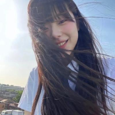 容易受伤的玫瑰